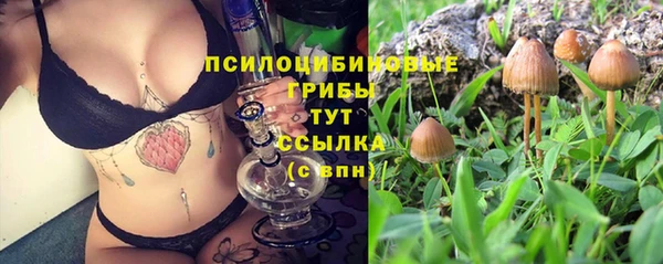 не бодяженный Верхний Тагил